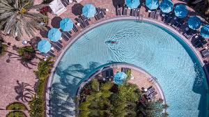 Image result for Melia