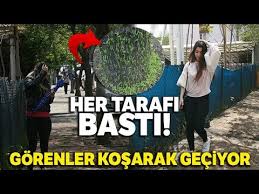 Agaclari Esir Alan Binlerce Kurt Mahalleliyi Ikiye Boldu Youtube