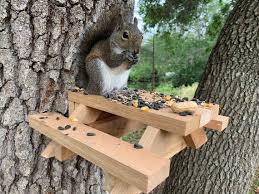 Squirrel Picnic Bench Etsy In 2021 Picnic Table Picnic Table Kit Diy Bird Feeder