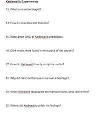 A researcher begins with a set of phenomena and either constructs a theory to explain or interpret them or chooses an existing theory to work with. Kettlewell S Experiments 13 What Is An Entomologist Chegg Com