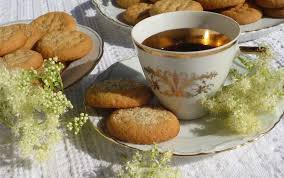 Pin Auf Wildkrauter Desserts Wild Herb Desserts