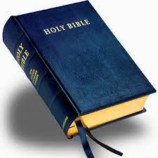 Download and install esv bible v4.1.1 for android. Containing The Best Multi Version Bible Kjv Esv And Niv Free App With Audio This Android App Is Free For Download And Is Recommended To Use It Online With Few Sections Who