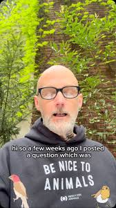 A few weeks ago I posted this question, how are you staying sane in the  apocalypse? And thousands and thousands of people called the toll-free  number and the responses were really uplifting and ...