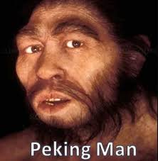 Some human species that you may never knew actually existed, they are  called Homo Erectus that once existed and lived