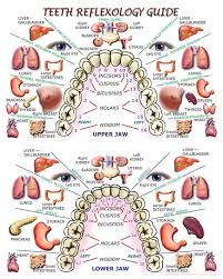 Pin On Reflexology Chart