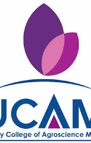 We did not find results for: Makeucamvisible Instagram Posts Photos And Videos Picuki Com