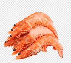 Garnelen Krabbencocktail Garnelen Caridea Garnelen Amerikanischer Hummer Tierquellnahrung Png Pngegg