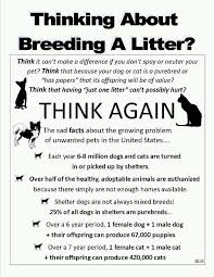 Spay And Neuter These Are Startling Statistics Spaying And Neutering Is Vitally Important Support The Continued Expansion Of Low Cost S Spay Neuter Pitbulls