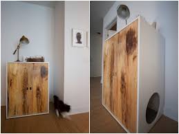 Außerdem ist der katzenschrank ein ideal geeignetes versteck für das katzenklo. Katzenklo Verstecken Im Schrank Unter Waschbecken Weitere Ideen