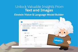 Einstein Vision And Language Model Builder Salesforce Labs Appexchange