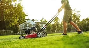 If you notice grub worms in your lawn, scotts grubex or dylox 6.2 granular oftentimes, simply keeping up with appropriate maintenance practices keeps your bluegrass or fescue lawn strong and healthy so that it can better fight off disease outbreaks or quickly. Scotts Lawn Care Home Facebook