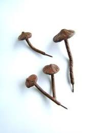 Image Of Cast Iron Mushroom Wall Hooks Wall Hooks Hat Hooks Hair Accessories