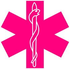 Pin By Kim Hughes On Ems Clip Art Paramedic Quotes Pink Stars