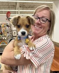 Look who's adopted...Sol, Wags, Sashimi, Scout, Leia, Sam, Mozart and  Ophelia! We sure hope everyone is settling in nicely and we can't wait for  the updates. Congrats to all! Humane Society of