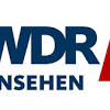 Wdr stands for wide dynamic range, is a technology used on video cameras to compensate problems with light exposure. 1