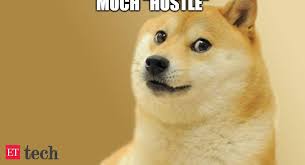 Available white pomeranian female, 3 years old. How To Use 50 Trillion Shiba Inu In Covid Hit Crypto Wary India The Economic Times