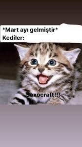 Sicak Sicak Post Yaptim Zargoryangalaksisi