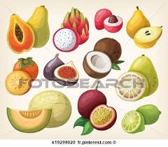 Epingle Par Julie Hoareau Sur Livre Kuizin Fruits Exotiques Illustration Diy Cadeau Noel