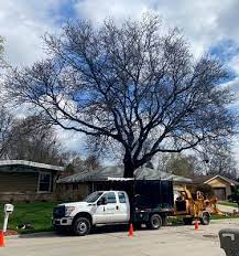 Check out our wauwatosa wi selection for the very best in unique or custom, handmade pieces from our shops. The 10 Best Tree Trimming Services In Wauwatosa Wi 2021