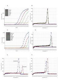 Deze test is (nog) niet goedgekeurd voor een pcr test voor reizen aanvragen, hoe werkt het? Pan Lyssavirus Real Time Rt Pcr For Rabies Diagnosis Protocol Translated To Arabic