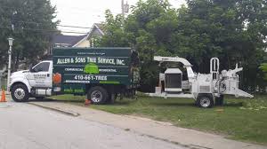 I chose allen pest control & exterminators because they took the time to educate me and explain the treatment that i needed. Allen Son S Tree Service Reviews Middle River Md Angi