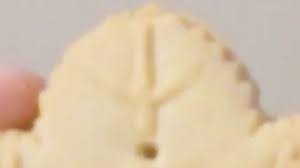The foods you eat while pregn. Can You Name These Canadian Junk Food Items From An Image Howstuffworks