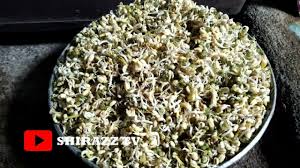 Tambahkan air lalu masukkan garam dan gula. Cara Membuat Tauge Kacang Hijau Kecambah By Andiyani