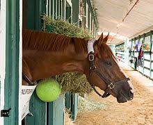 California Chrome Wikipedia