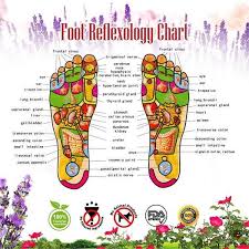 Ginger Root Detox Foot Pads Buy 2 Free 1 Buy 3 Free 2 Foot Detox Pads Foot Detox Foot Detox Patches