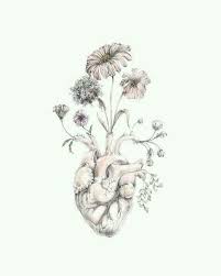 Maybe you would like to learn more about one of these? Heart Vase Drawing Heart Flower Tattoo Drawings Heart Tattoo