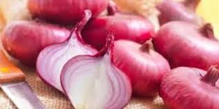 Cara praktis tanam daun bawang di gelas isi air. Cara Menanam Daun Bawang Di Rumah Cepat Dan Mudah Dilakukan Merdeka Com