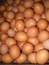 Harga ayam potong & telur ayam di sejumlah daerah naik. Jual Telur Ayam Home Facebook