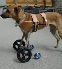 Let us know what you think of this great dog cart in the 3d printed dog wheelchair forum thread over at 3dpb.com. Pets Run Again