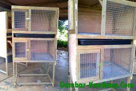 Ingin tau cara membuat kandang ayam sederhana dari bambu? Cara Membuat Kandang Ayam Dari Kawat Ram Tentang Kolam Kandang Ternak