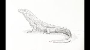 A tutorial on how to draw a dragon jumping. How To Draw A Komodo Dragon Youtube