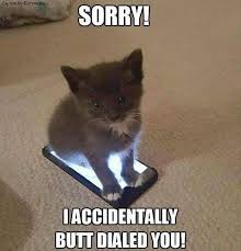 Maybe you would like to learn more about one of these? Caturday Is Finally Here Along With 26 Amazing Cat Memes Funny Animal Jokes Cute Funny Animals Funny Animal Pictures