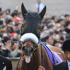 出走前の競走馬になった気分？ 一般人は入れない「競馬場の裏側」撮影した動画が話題 2020/03/23 (月) 18:00 ç«¶èµ°é¦¬ ã®ã‚¢ã‚¤ãƒ‡ã‚¢ 86 ä»¶ ç«¶èµ°é¦¬ ã‚´ãƒ¼ãƒ«ãƒ‰ã‚·ãƒƒãƒ— ã‚µãƒ©ãƒ–ãƒ¬ãƒƒãƒ‰
