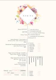 Cv Simple Et Design 2016 Etudiante Information Communication Iae Savoie Cv Simple Cv Graphique Cv Creatif