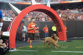 See below on the dog pound. Cleveland Browns Doggie Mascot Dies At 6 After Battle With Cancer