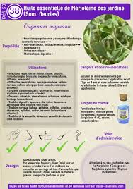 Huile Essentielle De Marjolaine Des Jardins Huile Essentielle Eucalyptus Huile Essentielle Patchouli Huile Essentielle Menthe Poivree