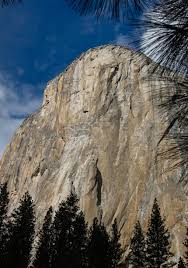 But the dawn wall wasn't met with critical acclaim. Best Climbing Movies 12 Great Films You Need To Watch