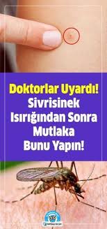 Doktorlar Uyardi Sivrisinek Isirigindan Sonra Mutlaka Bunu Yapin Doktorlar Saglik Saglik Ve Fitness
