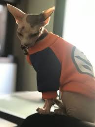 Herds of bantha inhabit the desert wastes of tatooine in the outer rim, as well as grasslands and plains of other worlds throughout the star wars galaxy. Dragon Ball Z Goku Dog Sweater