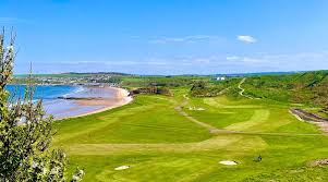 Image result for Cullen