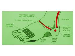 Boosting Your Fertility With Reflexology Conceptionfaq