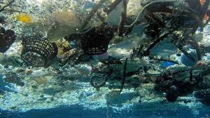 Banyak biota laut yang mengkonsumsi plastik sehingga mati. 9 Penyebab Pencemaran Air Yang Harus Disadari Dari Detergen Hingga Limbah Pabrik Hot Liputan6 Com