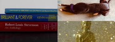 Profile for Kevin MacNeil