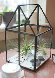 All of our terrarium kits come with everything you need display your air plants. How To Make An Air Plant Terrarium To Display Your Plant Pets The Garden Glove