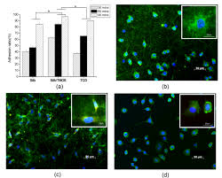 The laboratory detection of bacteremia and fungemia using blood cultures. Fabrication Of Nanofibrous Scaffolds By Electrospinning Intechopen