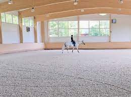 Construction Of Indoor Riding Arena Surfaces - Our Indoor Arenas Have A  2-Layer Structure.